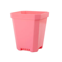Load image into Gallery viewer, 5&quot; Nursery Pots with Insert Tray
