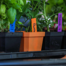Load image into Gallery viewer, Multi-color Plant Labels | 100 count
