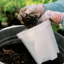 Load image into Gallery viewer, 5&quot; Nursery Pots with Insert Tray
