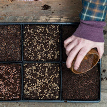 Load image into Gallery viewer, 5X5 Shallow Microgreen Trays
