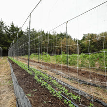 Load image into Gallery viewer, Trellis Netting | 6&quot; Mesh
