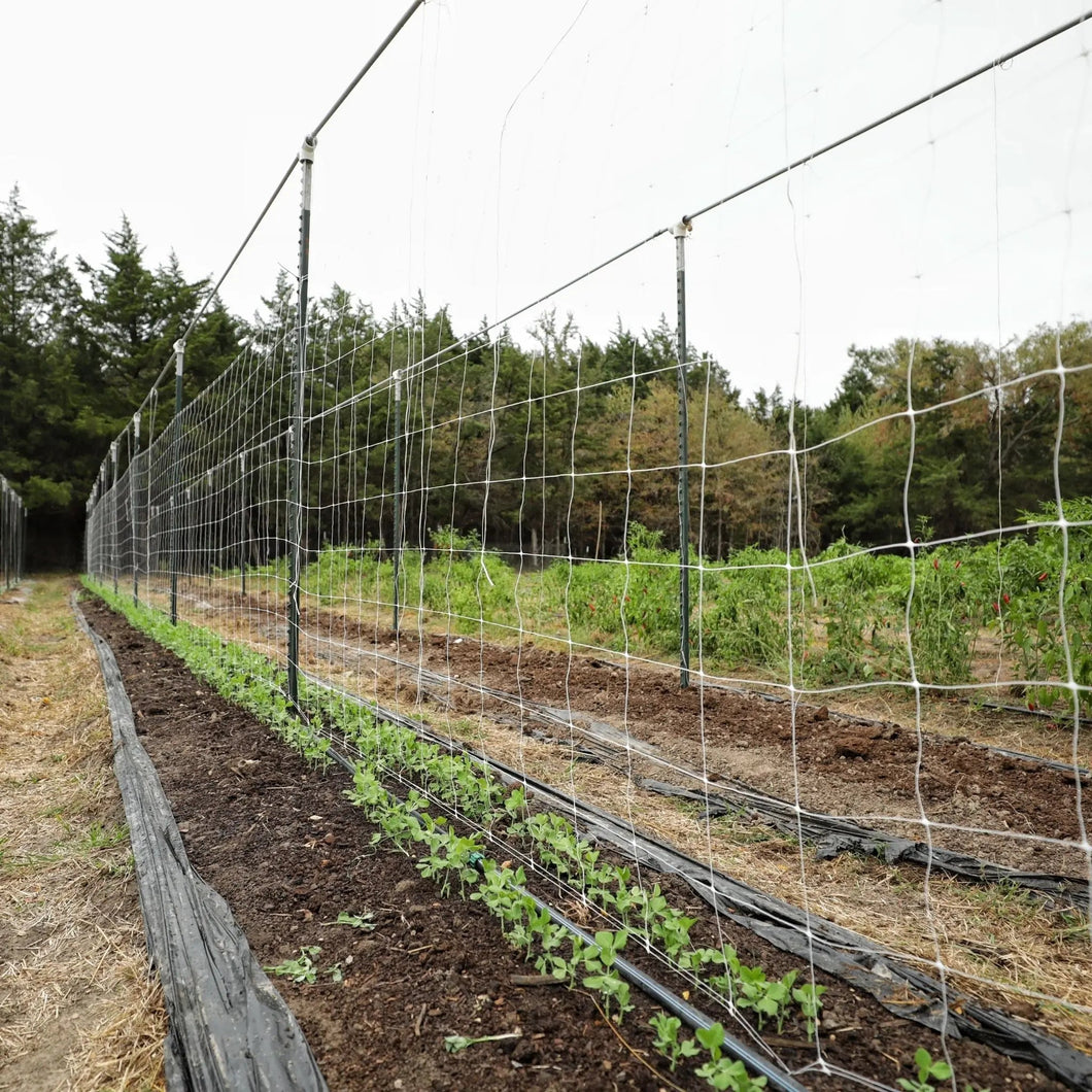 Trellis Netting | 6