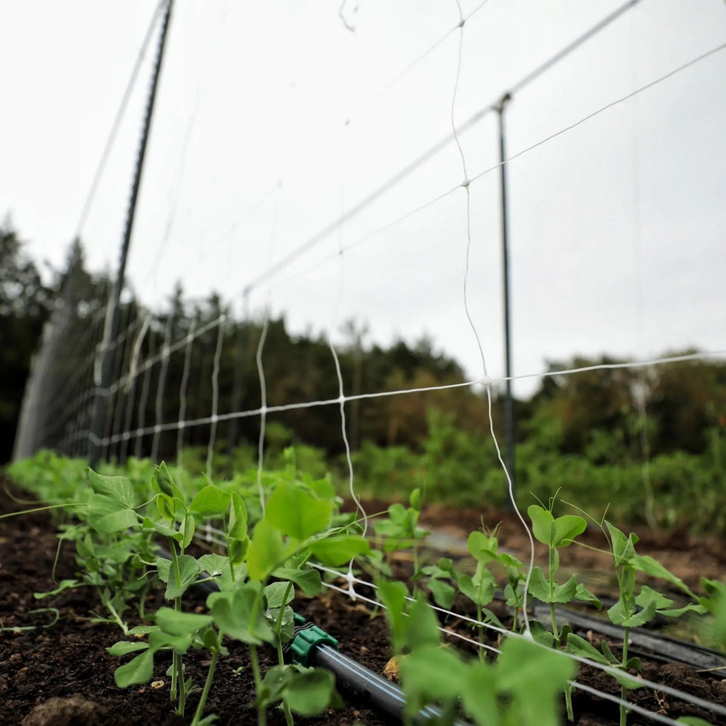 Trellis Netting | 6