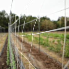 Load image into Gallery viewer, Trellis Netting | 6&quot; Mesh
