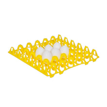 Load image into Gallery viewer, Plastic Egg Tray - Chicken - 30 Eggs
