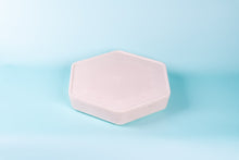 Load image into Gallery viewer, Mealworm Storage Tray (Beetle Tray Not Included)
