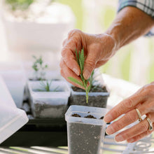 Load image into Gallery viewer, Propagation Kit | For Cuttings, Seedlings and More
