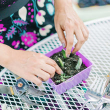 Load image into Gallery viewer, 5x5 Grow Trays - Extra Strength Inserts
