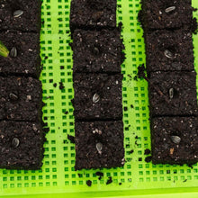 Load image into Gallery viewer, Soil Blocking Starter Kit
