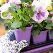Load image into Gallery viewer, Seed Starter Pots - 2.5&quot; Extra Strength
