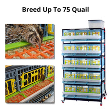 Load image into Gallery viewer, Quail Pro Plus Kit - End To End Process
