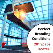 Load image into Gallery viewer, Quail Professional Kit
