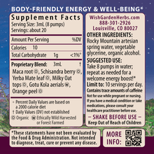 Load image into Gallery viewer, Rise &amp; Energize Daily Energy Boost

