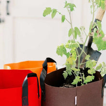 Load image into Gallery viewer, Grow Bags - 7 Gallon Colored Fabric Pots
