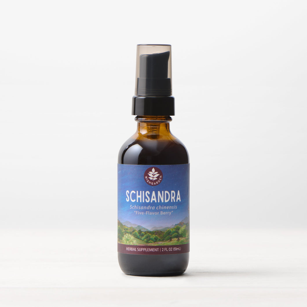 Schisandra