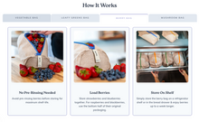 Load image into Gallery viewer, The Complete Set
