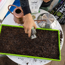 Load image into Gallery viewer, 1020 Microgreen Trays - Shallow Extra Strength Colors
