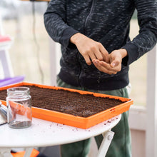 Load image into Gallery viewer, 1020 Microgreen Trays - Shallow Extra Strength Colors
