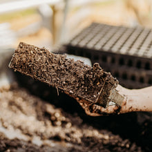 Load image into Gallery viewer, Ladbrooke Soil Blockers - 2&quot; Blocker (4 Blocks) - Bootstrap Farmer
