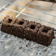 Load image into Gallery viewer, Ladbrooke Soil Blocker Insert Pins - 3/4&quot; Cubic Pins (Set of 4) - Bootstrap Farmer

