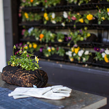 Load image into Gallery viewer, Varden™ Soil-Filled Vardensok
