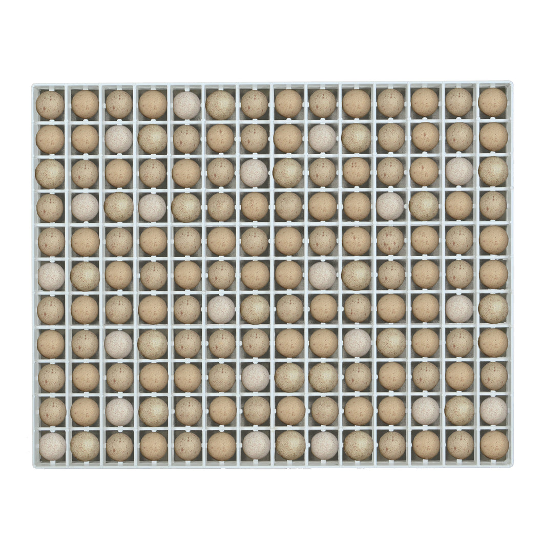 Egg Setter Tray - Partridge - 154 Eggs