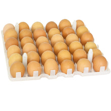 Load image into Gallery viewer, Egg Setter Tray - Chicken - 36 Eggs
