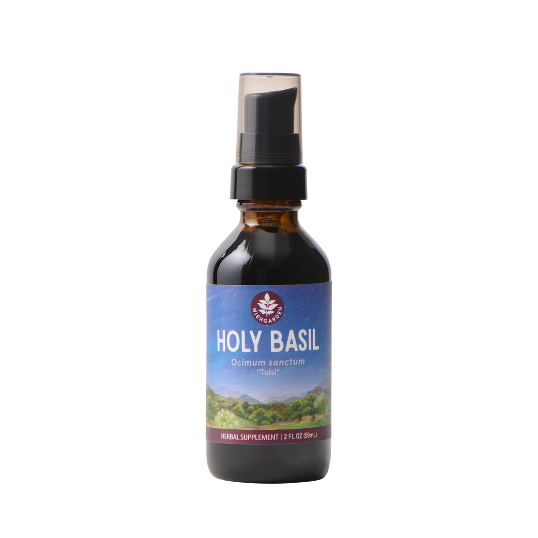 Holy Basil