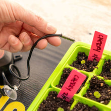 Load image into Gallery viewer, Seedling Heat Mat Temperature Controller
