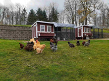 Load image into Gallery viewer, Walk-In 8 ft. Chicken Run (6&#39;6&quot;W x 7&#39;6&quot;L x 6&#39;3&quot;H)
