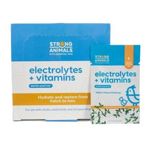 Load image into Gallery viewer, Electrolyte + Vitamin Pack
