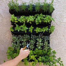 Load image into Gallery viewer, Varden™ Kitchen Garden
