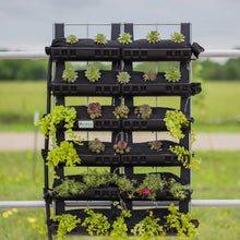 Load image into Gallery viewer, Varden™ Kitchen Garden
