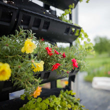 Load image into Gallery viewer, Varden™ Kitchen Garden

