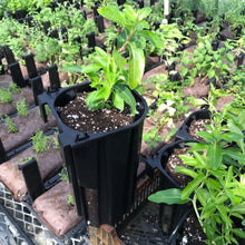 Load image into Gallery viewer, Varden™ Sleeve
