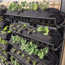 Load image into Gallery viewer, Varden™ Trays
