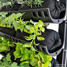 Load image into Gallery viewer, Varden™ Empty Mesh
