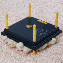 Load image into Gallery viewer, Heating Plate for Chicks (12&quot; x 12&quot;) for 20-25 chicks
