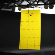 Load image into Gallery viewer, Pest Control Sticky Trap Cards
