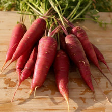 Load image into Gallery viewer, Dragon Carrot
