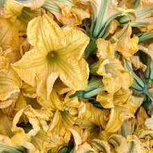 Load image into Gallery viewer, Black Futsu Squash
