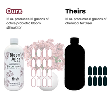 Load image into Gallery viewer, Bloom Juice Award-Winning Formula
