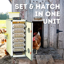 Load image into Gallery viewer, CT180 SH - Egg Incubator - Setter &amp; Hatcher

