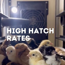 Load image into Gallery viewer, CT60 SH - Egg Incubator - Setter &amp; Hatcher
