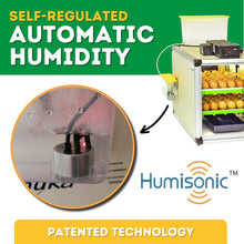 Load image into Gallery viewer, CT60 SH - Egg Incubator - Setter &amp; Hatcher
