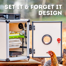 Load image into Gallery viewer, CT60 SH - Egg Incubator - Setter &amp; Hatcher
