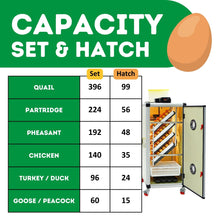 Load image into Gallery viewer, HB175 C - Egg Incubator - Setter &amp; Hatcher

