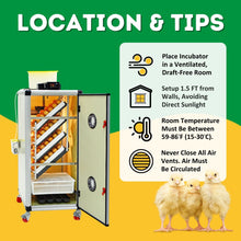 Load image into Gallery viewer, HB175 C - Egg Incubator - Setter &amp; Hatcher
