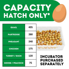 Load image into Gallery viewer, HB175 H - Egg Incubator - Hatcher

