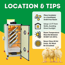 Load image into Gallery viewer, HB350 C - Egg Incubator - Setter &amp; Hatcher
